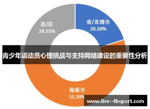 青少年运动员心理挑战与支持网络建设的重要性分析